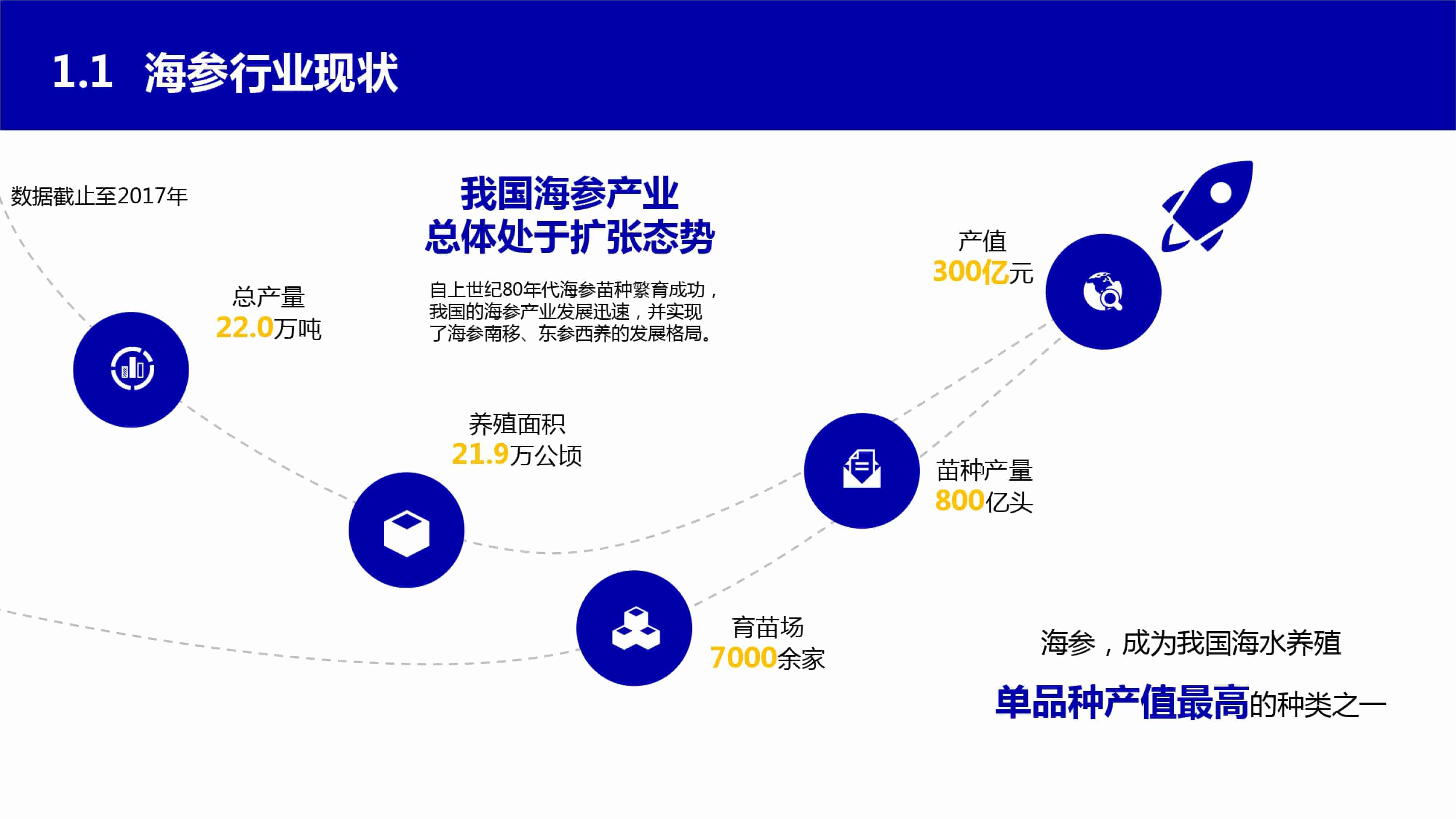 青島品牌策劃公司，青島營銷策劃公司，青島全案策劃公司，青島海參品牌全案策劃案例，青島海參品牌市場研究，青島海參品牌定位研究，青島海參品牌營銷策劃
