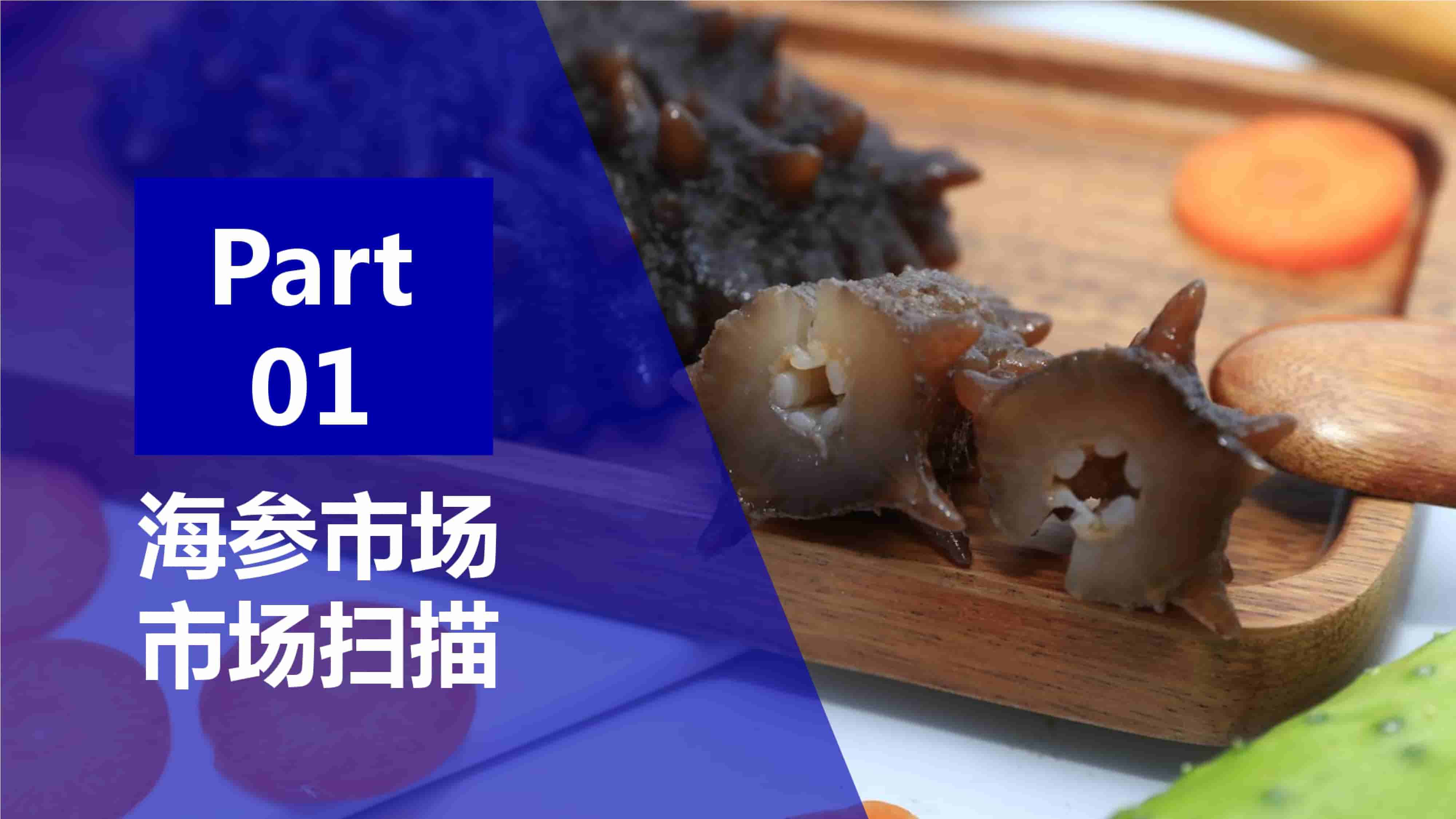 青島品牌策劃公司，青島營銷策劃公司，青島全案策劃公司，青島海參品牌全案策劃案例，青島海參品牌市場研究，青島海參品牌定位研究，青島海參品牌營銷策劃