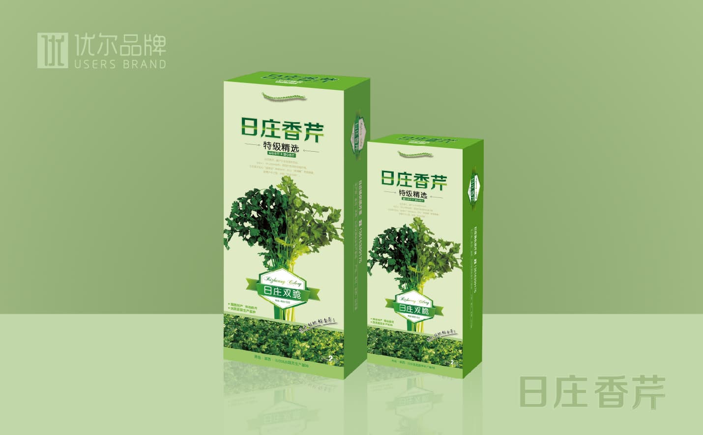 青島蔬菜包裝設計，青島果蔬單頁設計，青島專業設計公司，青島包裝設計公司，青島高端包裝設計案例，青島廣告公司，青島設計公司，青島宣傳頁設計，青島全案品牌設計公司