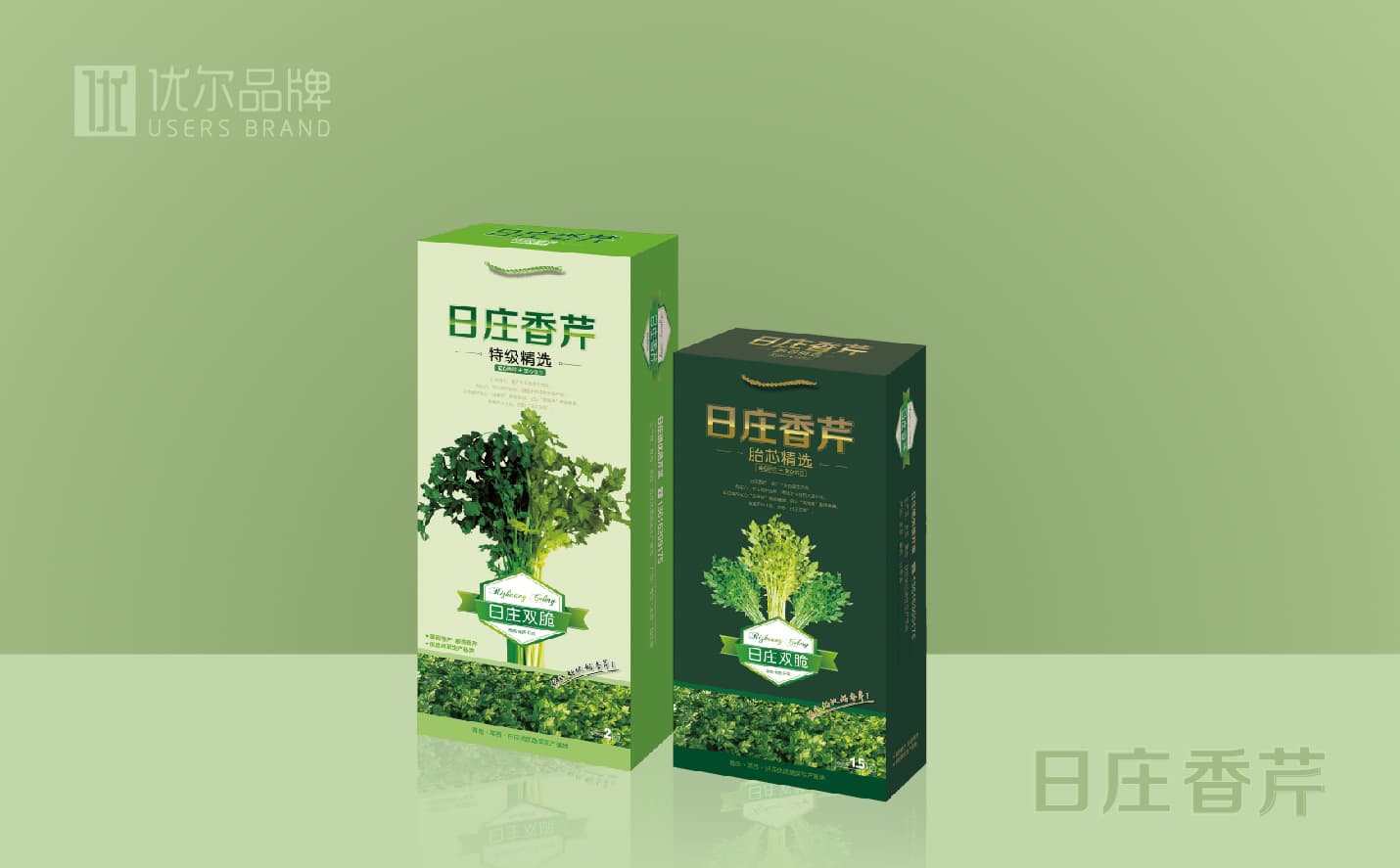 青島蔬菜包裝設計，青島果蔬單頁設計，青島專業設計公司，青島包裝設計公司，青島高端包裝設計案例，青島廣告公司，青島設計公司，青島宣傳頁設計，青島全案品牌設計公司