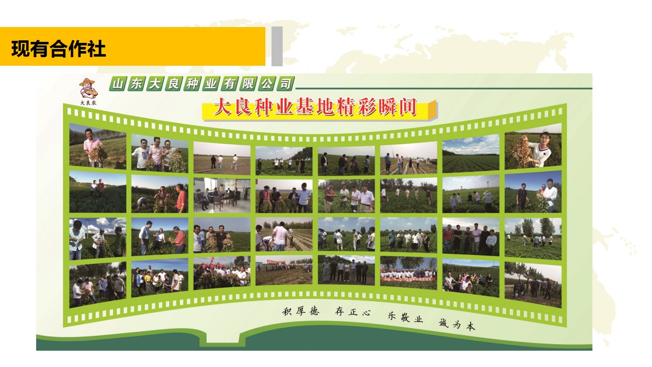 青島PPT代寫,青島PPT撰寫,商業計劃書PPT代寫,項目融資商業計劃書代寫,專業寫PPT,可行性計劃PPT撰寫,專業寫PPT的公司,公司介紹PPT,青島專業寫PPT,農業項目PPT代寫