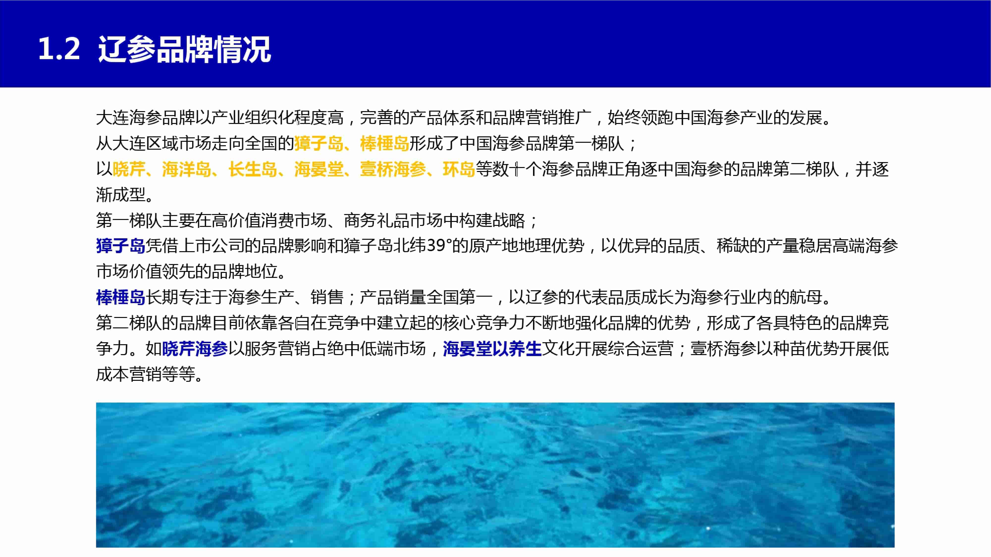 青島品牌策劃公司，青島營銷策劃公司，青島全案策劃公司，青島海參品牌全案策劃案例，青島海參品牌市場研究，青島海參品牌定位研究，青島海參品牌營銷策劃