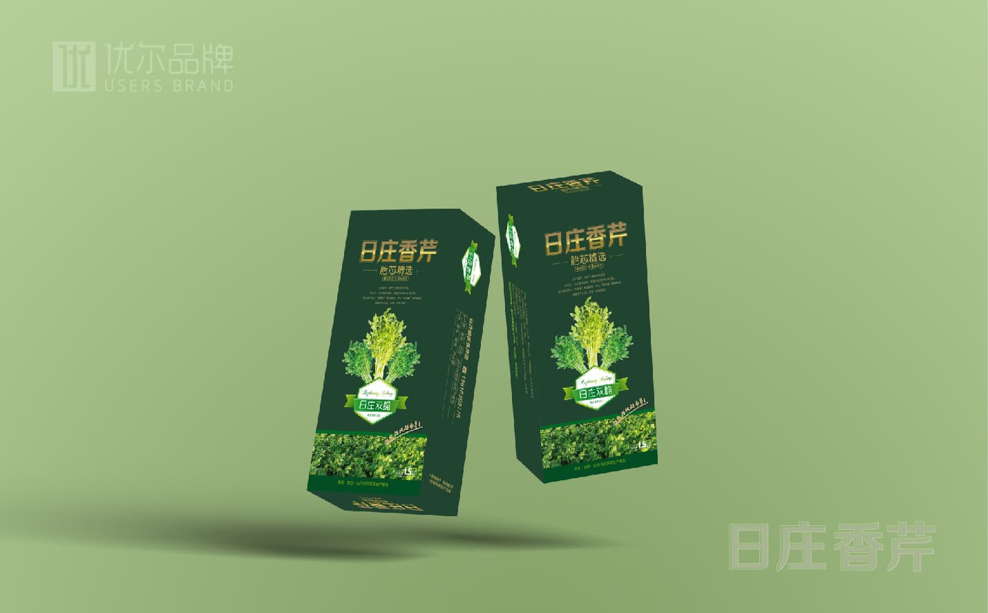 青島蔬菜包裝設計，青島果蔬單頁設計，青島專業設計公司，青島包裝設計公司，青島高端包裝設計案例，青島廣告公司，青島設計公司，青島宣傳頁設計，青島全案品牌設計公司