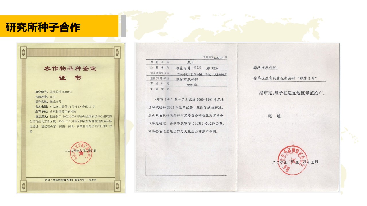 青島PPT代寫,青島PPT撰寫,商業計劃書PPT代寫,項目融資商業計劃書代寫,專業寫PPT,可行性計劃PPT撰寫,專業寫PPT的公司,公司介紹PPT,青島專業寫PPT,農業項目PPT代寫