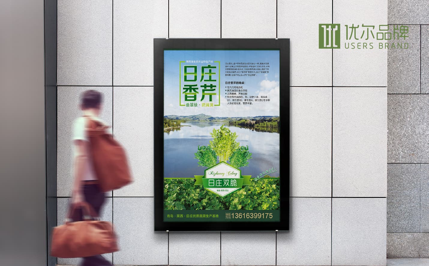 青島蔬菜包裝設計，青島果蔬單頁設計，青島專業設計公司，青島包裝設計公司，青島高端包裝設計案例，青島廣告公司，青島設計公司，青島宣傳頁設計，青島全案品牌設計公司
