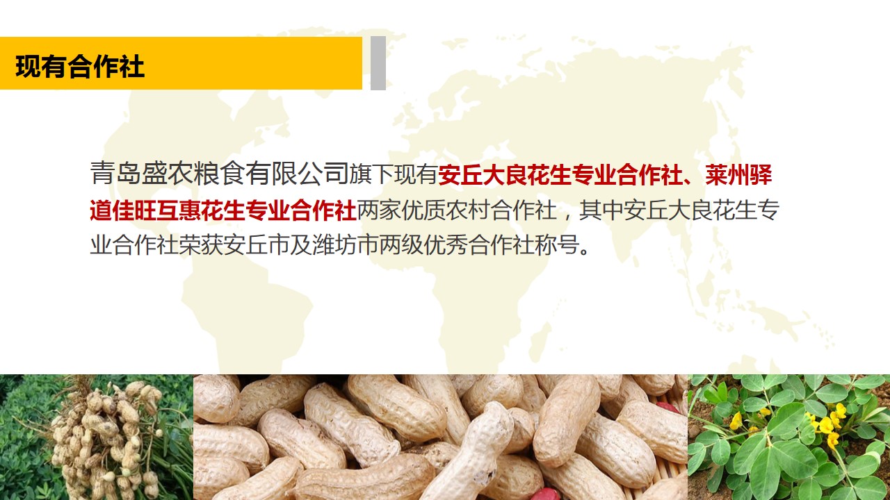 青島PPT代寫,青島PPT撰寫,商業計劃書PPT代寫,項目融資商業計劃書代寫,專業寫PPT,可行性計劃PPT撰寫,專業寫PPT的公司,公司介紹PPT,青島專業寫PPT,農業項目PPT代寫