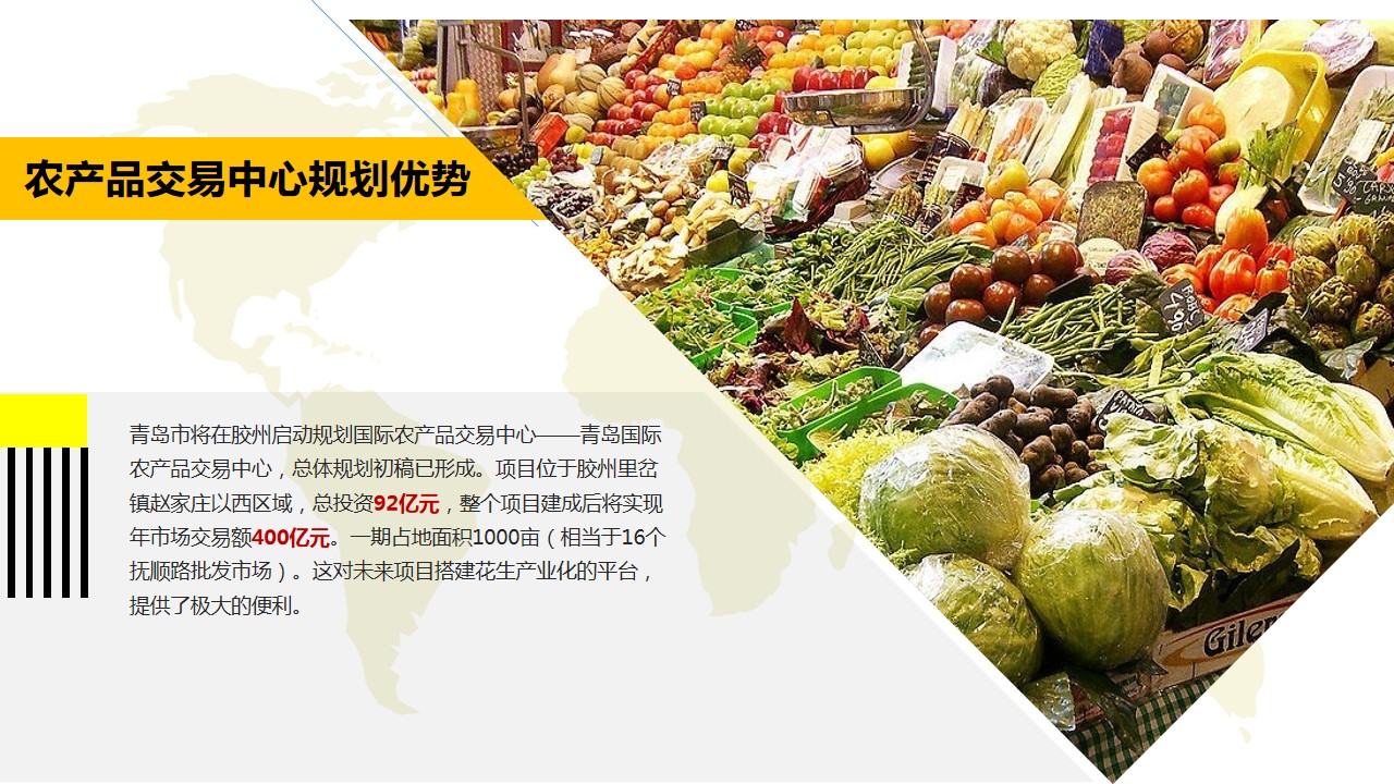 青島PPT代寫,青島PPT撰寫,商業計劃書PPT代寫,項目融資商業計劃書代寫,專業寫PPT,可行性計劃PPT撰寫,專業寫PPT的公司,公司介紹PPT,青島專業寫PPT,農業項目PPT商業計劃書