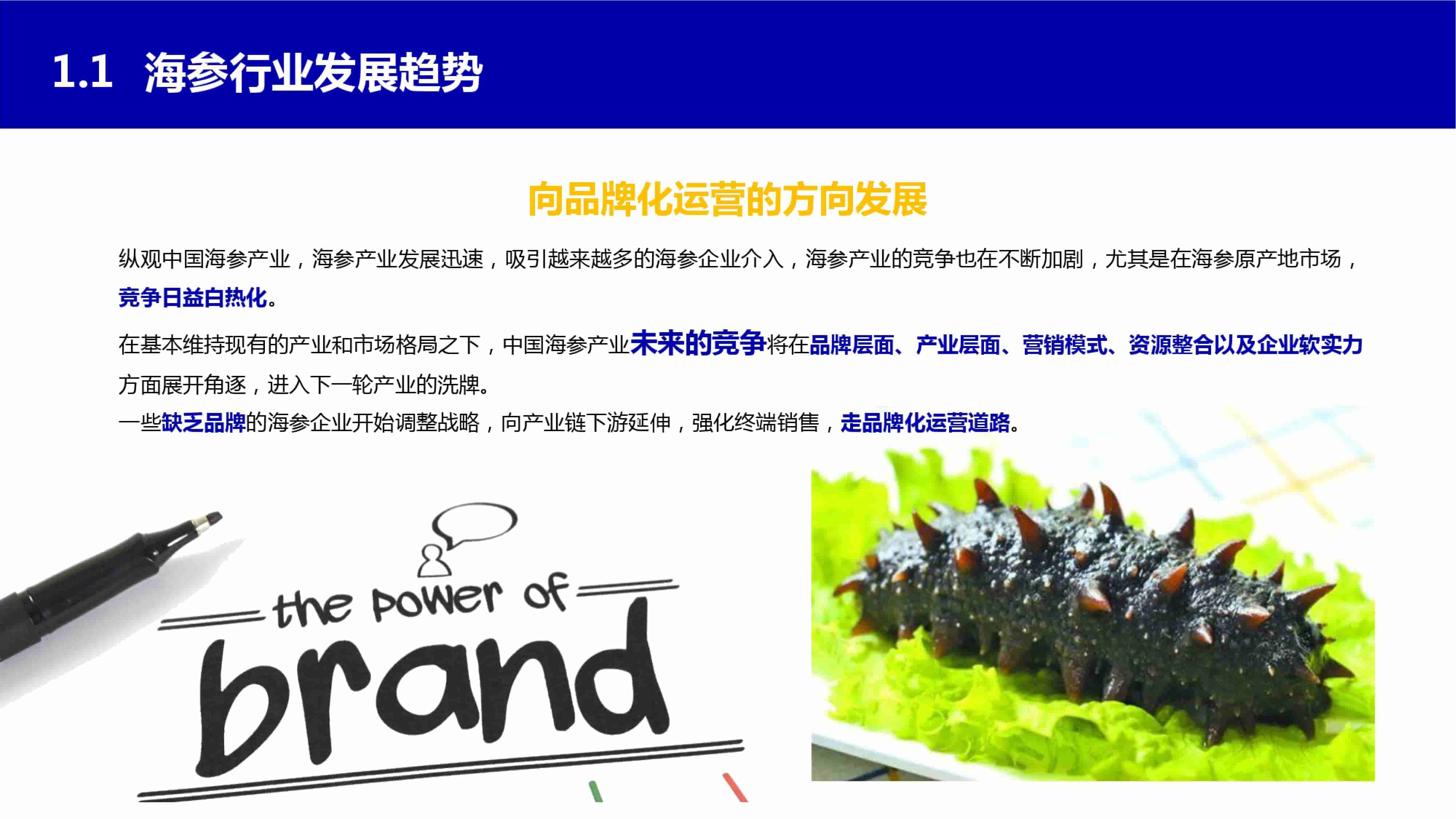 青島品牌策劃公司，青島營銷策劃公司，青島全案策劃公司，青島海參品牌全案策劃案例，青島海參品牌市場研究，青島海參品牌定位研究，青島海參品牌營銷策劃