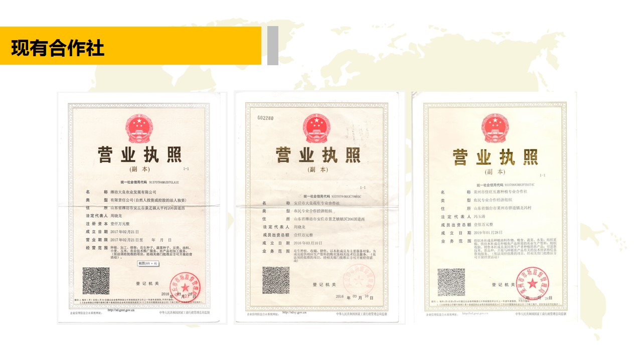 青島PPT代寫,青島PPT撰寫,商業計劃書PPT代寫,項目融資商業計劃書代寫,專業寫PPT,可行性計劃PPT撰寫,專業寫PPT的公司,公司介紹PPT,青島專業寫PPT,農業項目PPT代寫