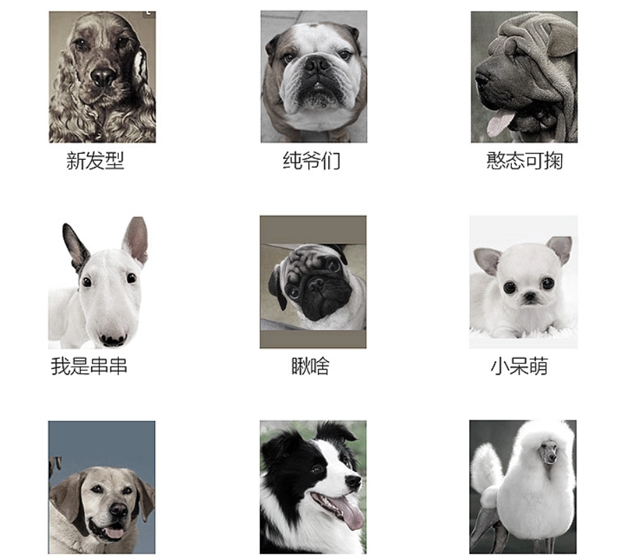 圖片1.png