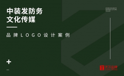 文化,傳媒,行業,中裝,發,防務,-logo,設計,客戶