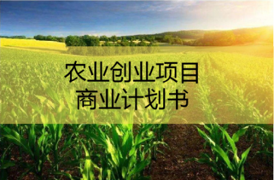 青島可行性研究報告，青島商業計劃書撰寫，青