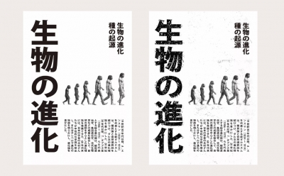 青島品牌設計，青島包裝設計，青島畫冊設計，青島品牌策劃，青島平面設計，青島戰略，青島全案設計