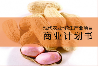 農業項目商業計劃書,花生產業項目商業計劃書,現代農業項目融資計劃報告,商業計劃書代寫,青島專業寫商業計劃書,青島專業寫融資計劃書