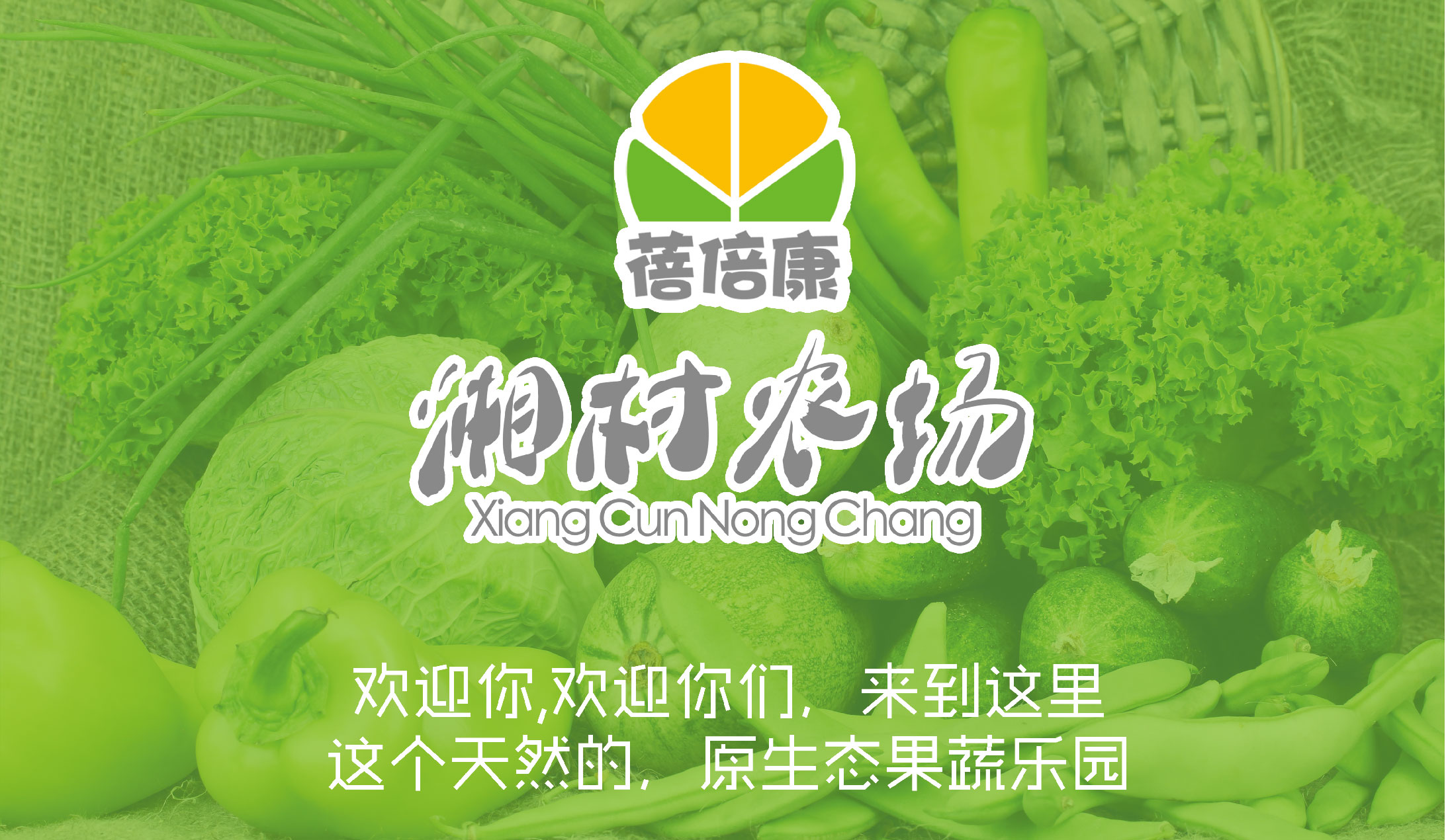 米豆,教育,nicedesign,為,硅谷,明星