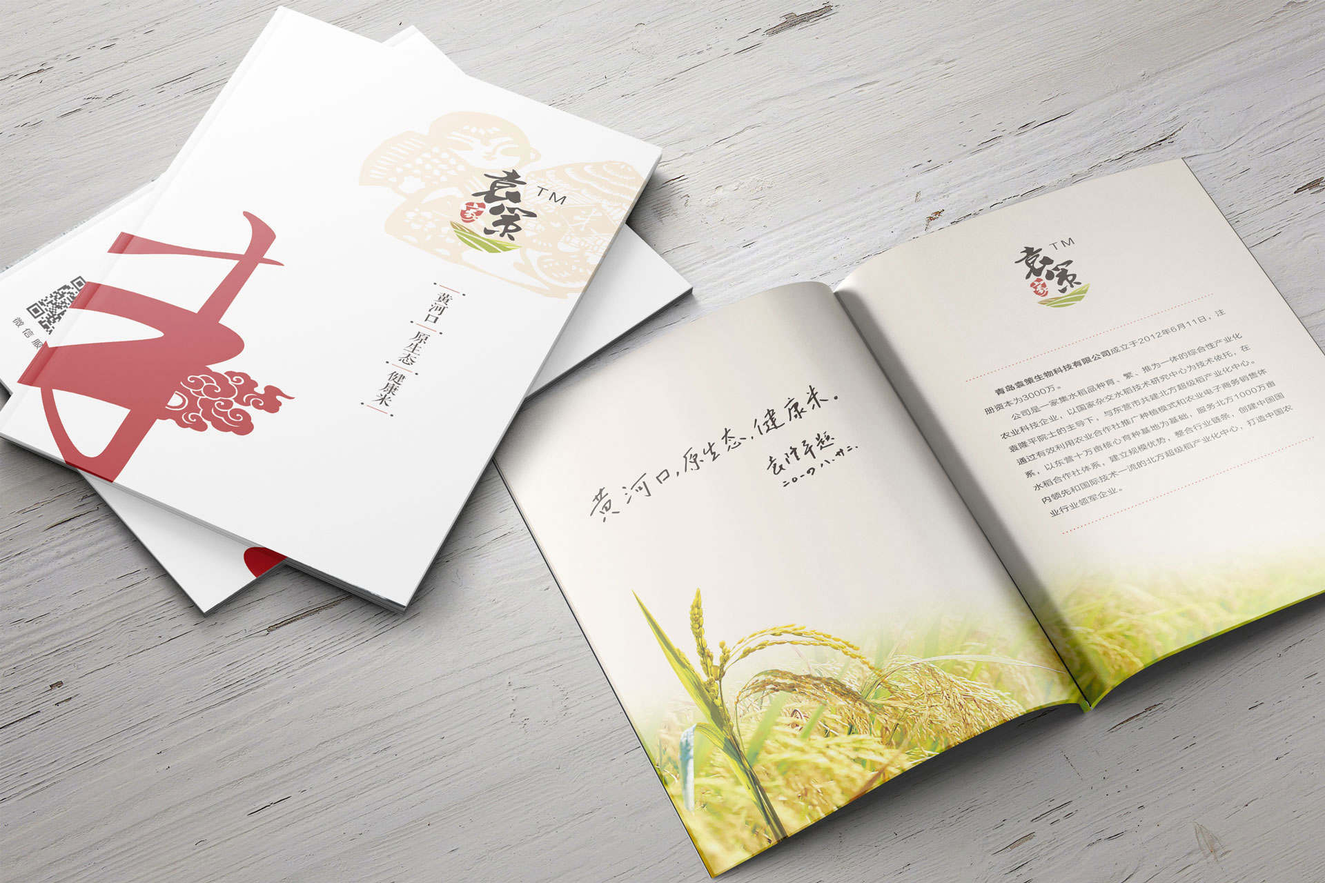 青島設計公司,青島廣告公司,青島包裝設計,青島單頁設計,青島畫冊設計,青島易企秀設計,青島食品行業包裝設計,青島食品行業單頁設計,青島食品行業畫冊設計,青島食品品牌策劃設計,青島品牌全案策劃,青島高端LOGO設計公司,青島高端單頁設計公司,青島高端畫冊設計公司