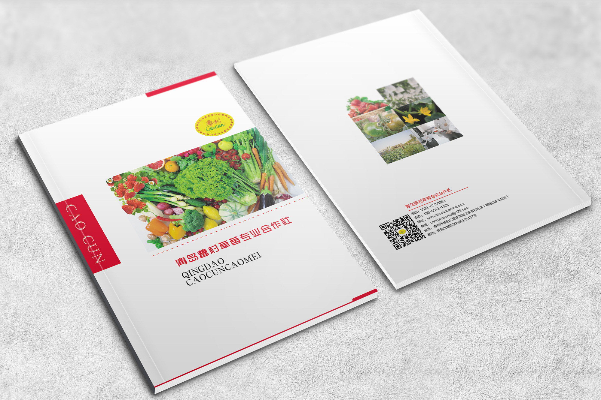 青島設計公司,青島廣告公司,青島包裝設計,青島畫冊設計,青島食品行業包裝設計,青島食品行業畫冊設計,青島食品行業品牌策劃設計,青島品牌全案策劃,青島高端包裝設計公司,青島高端畫冊設計公司