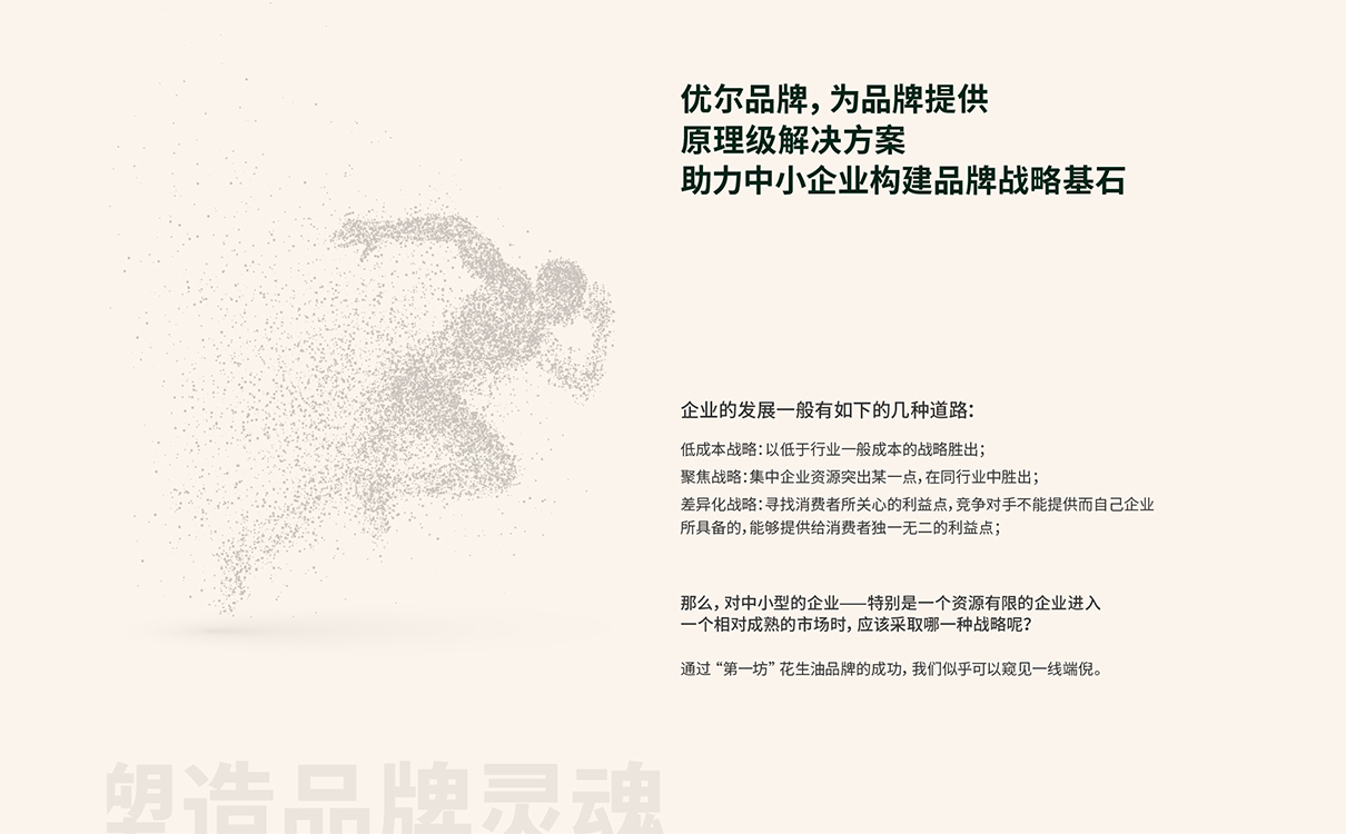 食用油行業洞察,食用油如何構建品牌,花生油品牌策劃,花生油包裝設計,花生油營銷推廣,食用油品牌定位,食用油市場區隔,花生油logo設計,食用油包裝設計,食用油logo設計