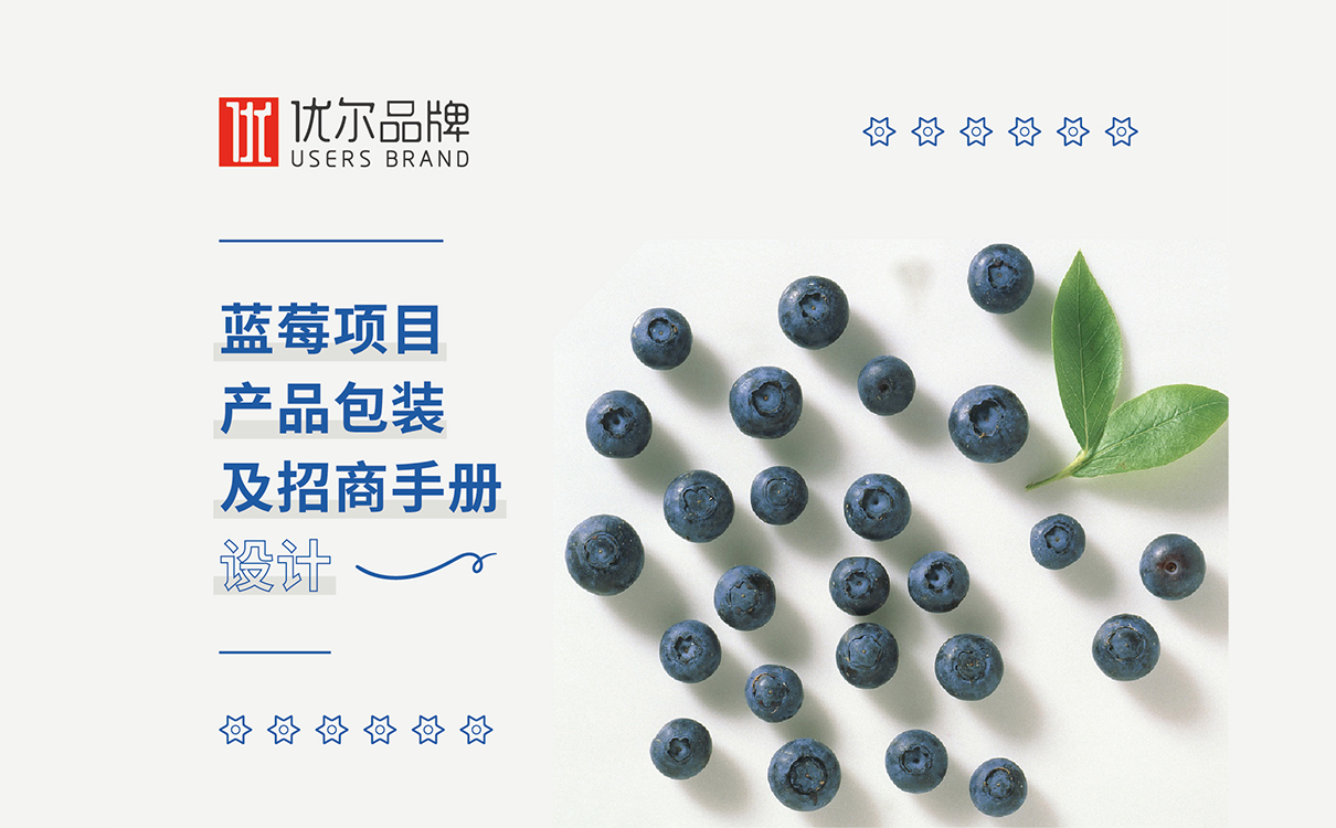 食品品牌策劃設計,食品logo設計,食品包裝設計,食品品牌策劃設計,食品連鎖策劃設計,食品畫冊設計,物料設計,廣告設計,品牌策劃,藍莓品牌策劃設計