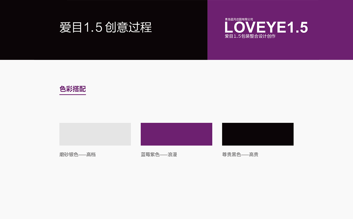 食品品牌策劃設計,食品logo設計,食品包裝設計,食品品牌策劃設計,食品連鎖策劃設計,食品畫冊設計,物料設計,廣告設計,品牌策劃,藍莓品牌策劃設計