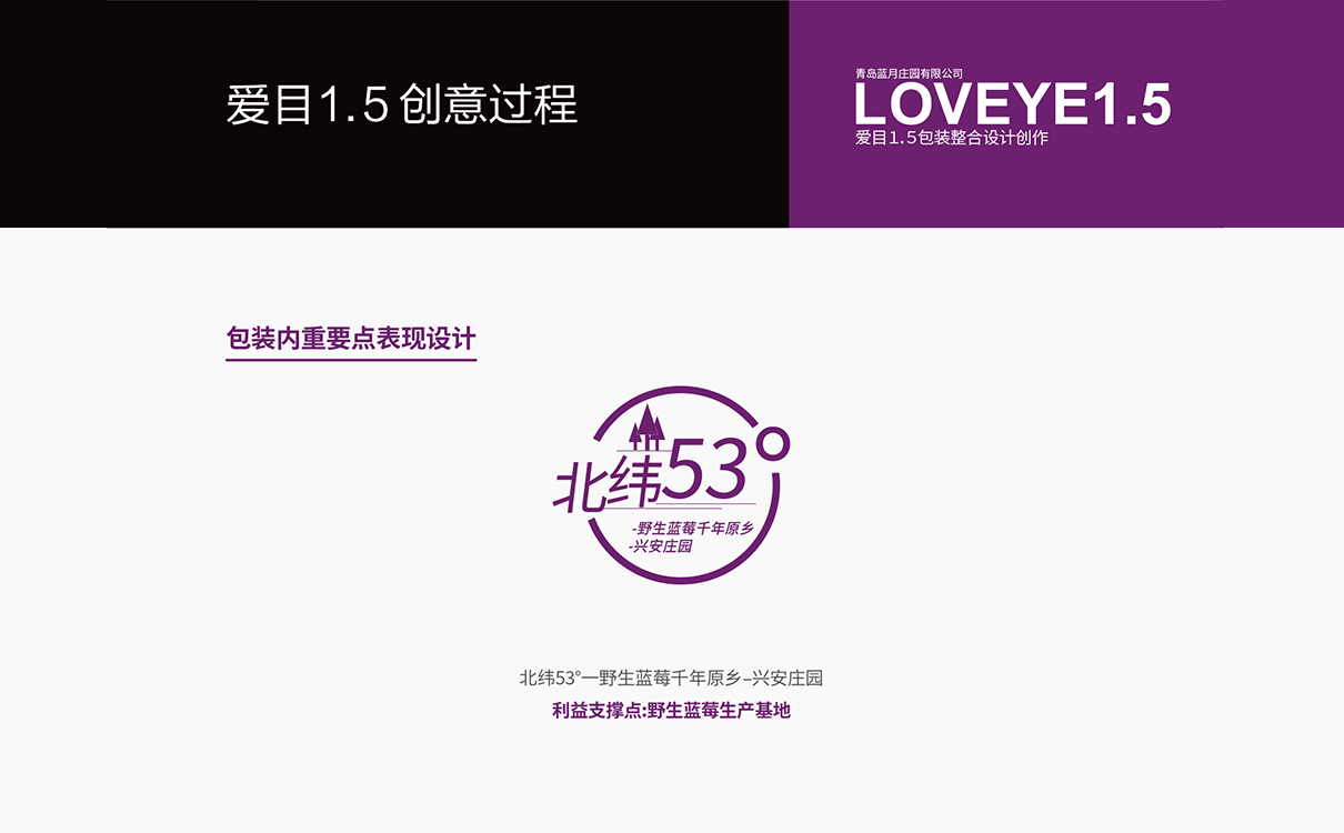 食品品牌策劃設計,食品logo設計,食品包裝設計,食品品牌策劃設計,食品連鎖策劃設計,食品畫冊設計,物料設計,廣告設計,品牌策劃,藍莓品牌策劃設計