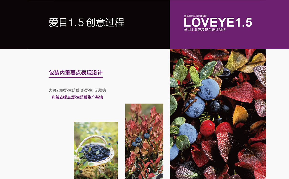 食品品牌策劃設計,食品logo設計,食品包裝設計,食品品牌策劃設計,食品連鎖策劃設計,食品畫冊設計,物料設計,廣告設計,品牌策劃,藍莓品牌策劃設計