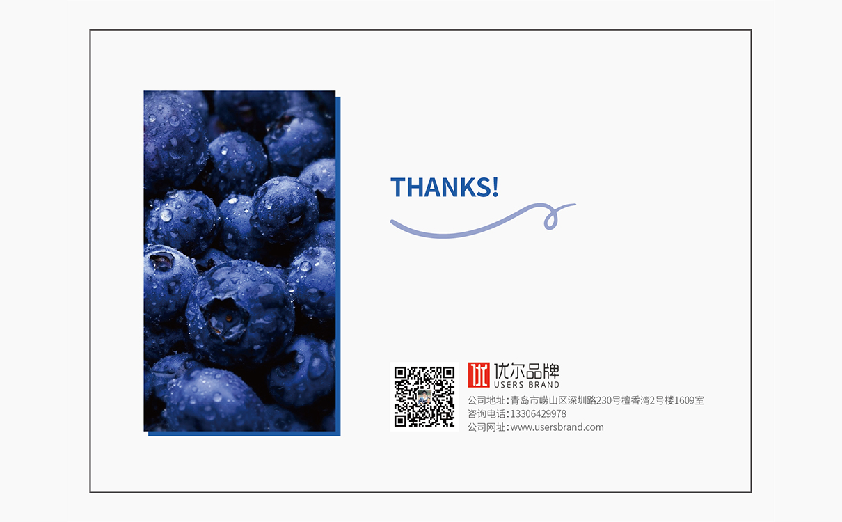 食品品牌策劃設計,食品logo設計,食品包裝設計,食品品牌策劃設計,食品連鎖策劃設計,食品畫冊設計,物料設計,廣告設計,品牌策劃,藍莓品牌策劃設計