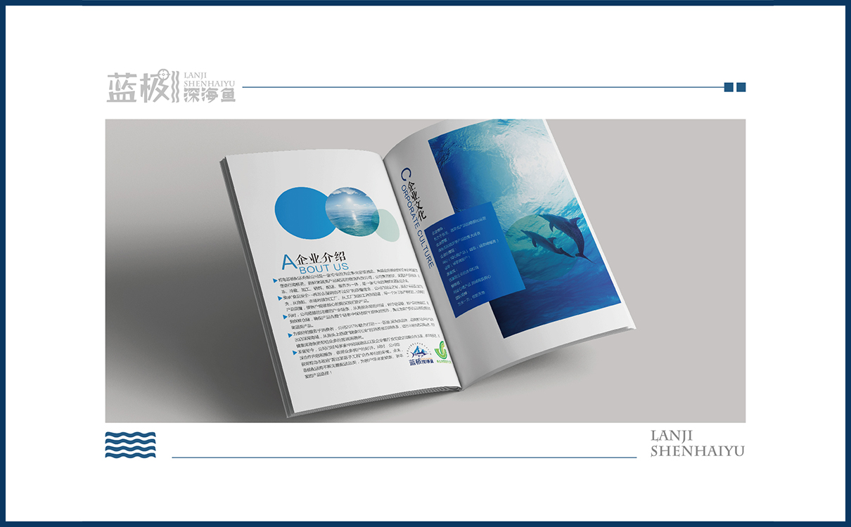 海產品品牌策劃設計,海產品logo設計,海產品包裝設計,海產品品牌策劃設計,海產品連鎖策劃設計,海產品畫冊設計,物料設計,廣告設計,品牌策劃,海產品品牌策劃設計,海產品網站設計