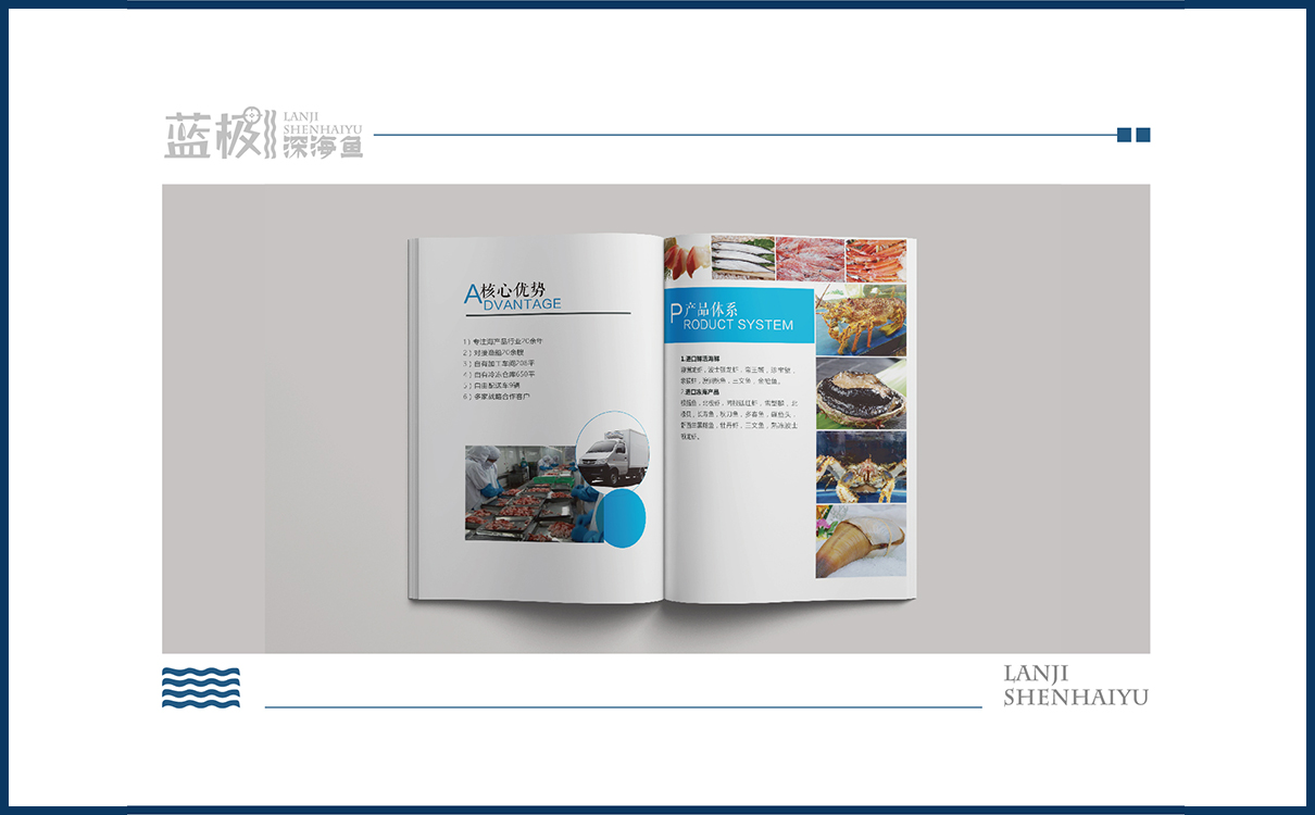 海產品品牌策劃設計,海產品logo設計,海產品包裝設計,海產品品牌策劃設計,海產品連鎖策劃設計,海產品畫冊設計,物料設計,廣告設計,品牌策劃,海產品品牌策劃設計,海產品網站設計