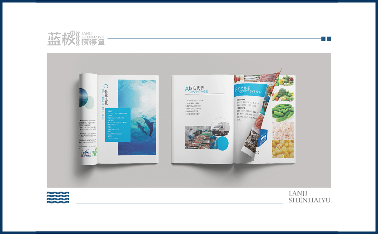 海產品品牌策劃設計,海產品logo設計,海產品包裝設計,海產品品牌策劃設計,海產品連鎖策劃設計,海產品畫冊設計,物料設計,廣告設計,品牌策劃,海產品品牌策劃設計,海產品網站設計