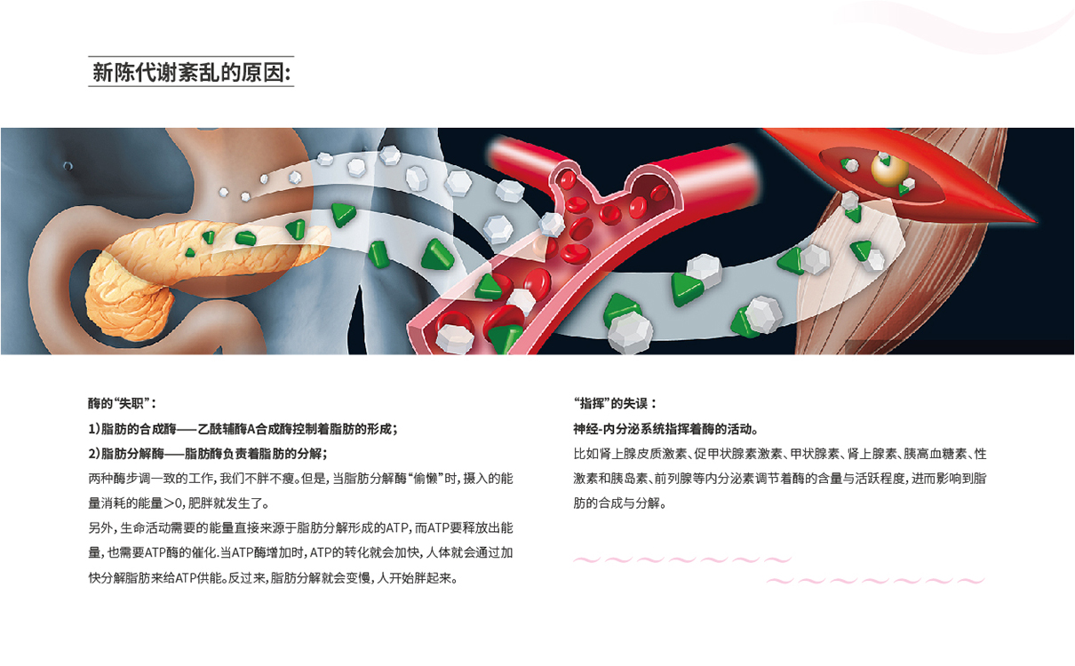 美業品牌策劃,美業全案設計,美容行業全案策劃設計,美容行業包裝設計,美容產品包裝設計,減肥項目策劃設計,減肥品牌策劃設計,減肥項目話術,減肥原理研究,減肥項目推廣