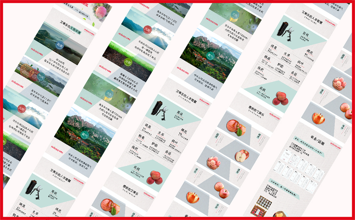 水果品牌設計,水果禮盒包裝設計,水果詳情頁設計,水果圖片拍攝,詳情頁圖片拍攝,商業攝影,果蔬詳情頁設計,寶貝詳情頁設計,寶貝淘寶設計,果蔬品牌全案設計,青島設計公司,青島廣告公司