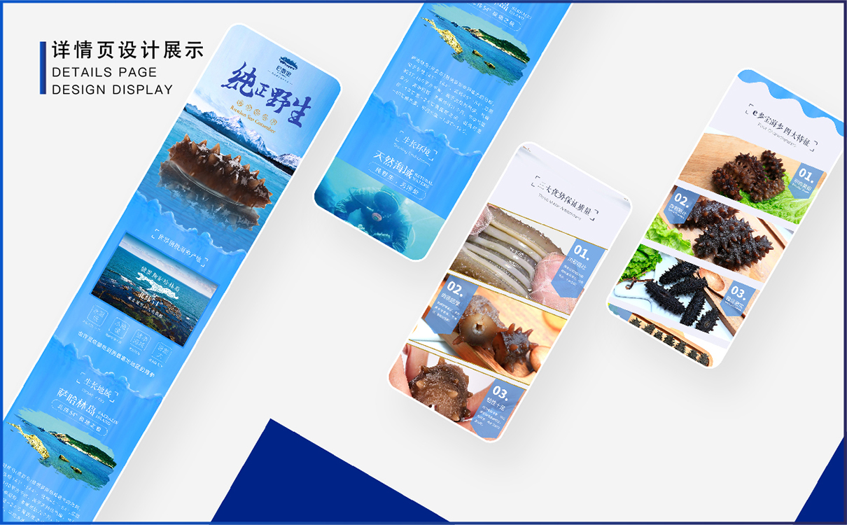 青島品牌策劃，青島設計公司，青島廣告公司海參品牌logo設計，海參包裝設計，海參禮盒設計，海參詳情頁設計，海參淘寶設計，海產品全案策劃設計，海參標志設計，海參高端禮盒設計，海參產品拍攝
