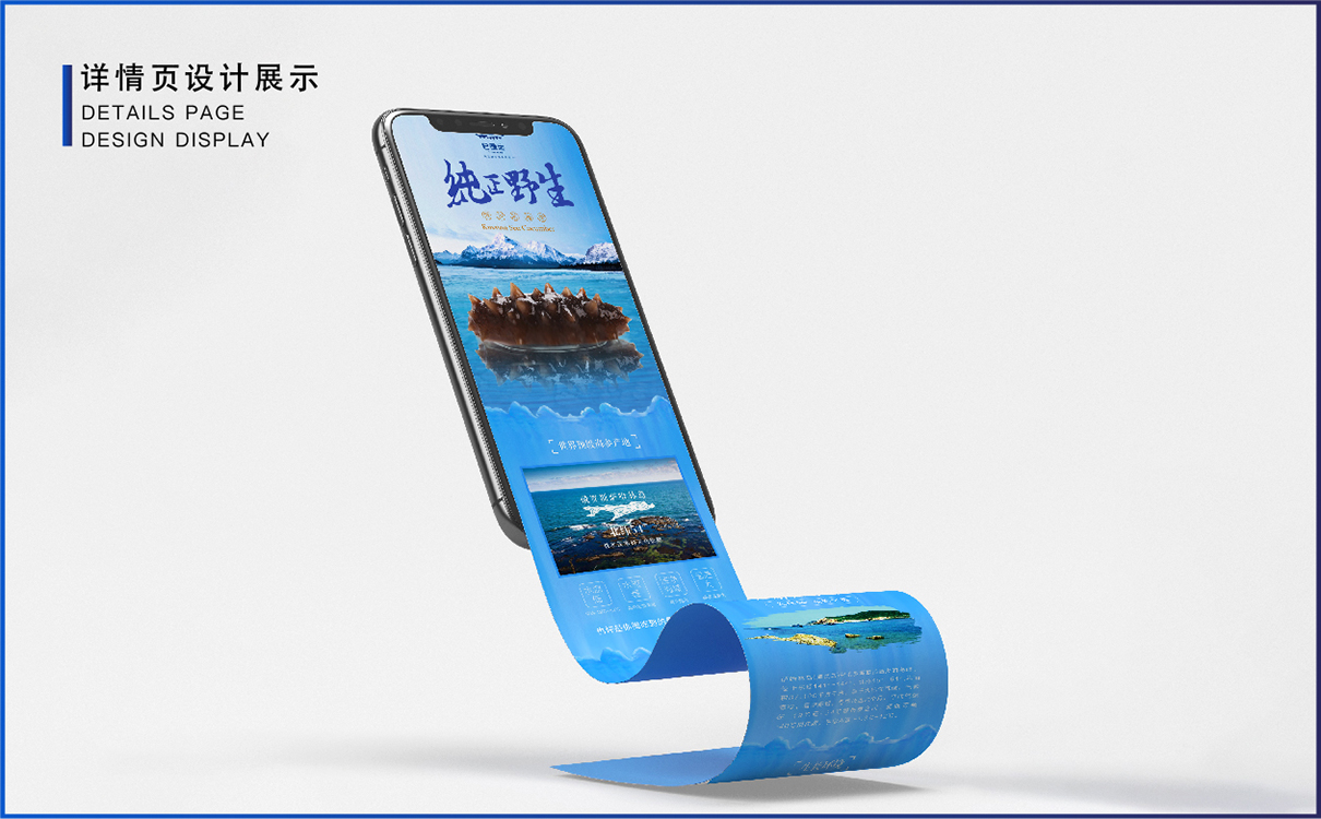 青島品牌策劃，青島設計公司，青島廣告公司海參品牌logo設計，海參包裝設計，海參禮盒設計，海參詳情頁設計，海參淘寶設計，海產品全案策劃設計，海參標志設計，海參高端禮盒設計，海參產品拍攝