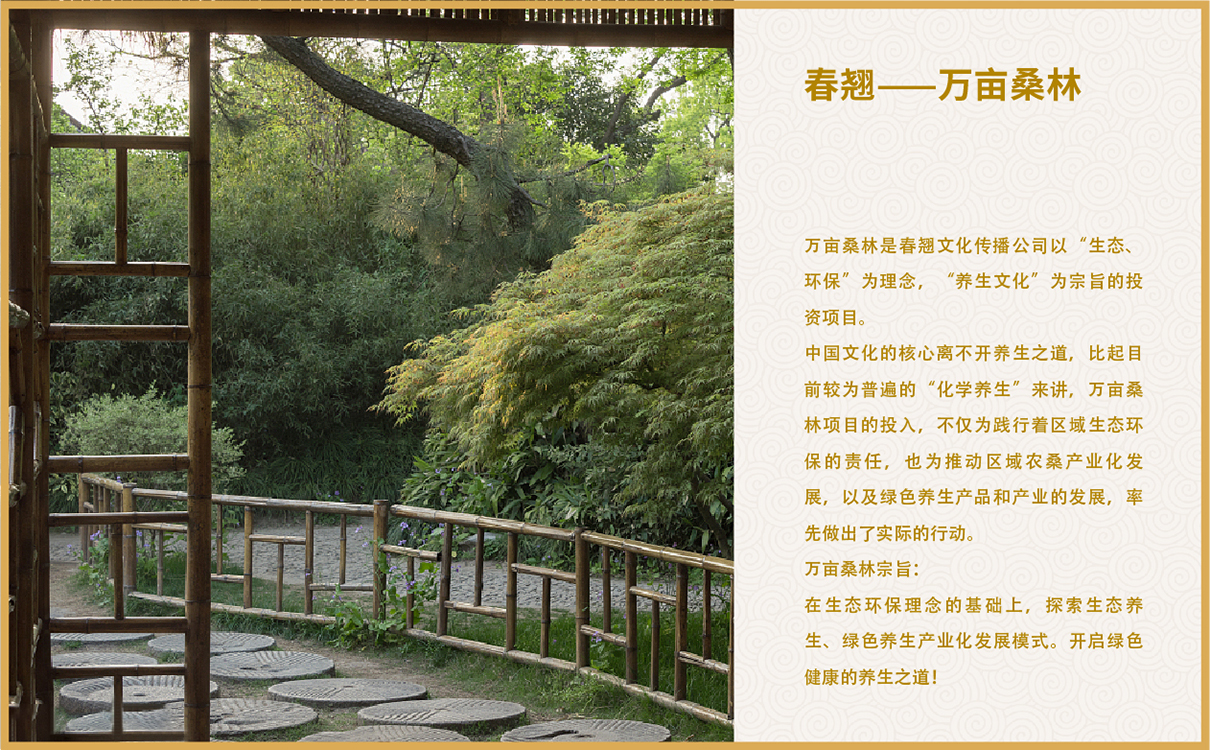 企業畫冊設計,桑葉茶折頁設計,桑葉茶包裝設計,茶包裝設計,企業文化設計,企業文化上墻,企業網站設計,茶葉網站設計