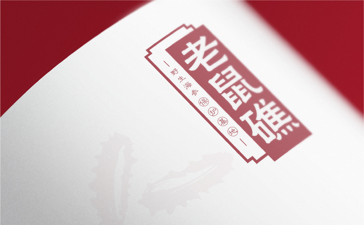 青島設計公司,青島品牌策劃,青島廣告公司
