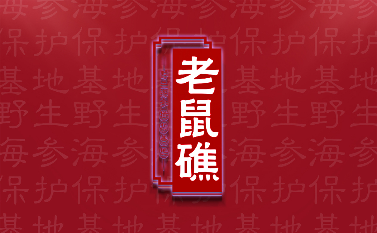 青島設計公司,青島品牌策劃,青島廣告公司