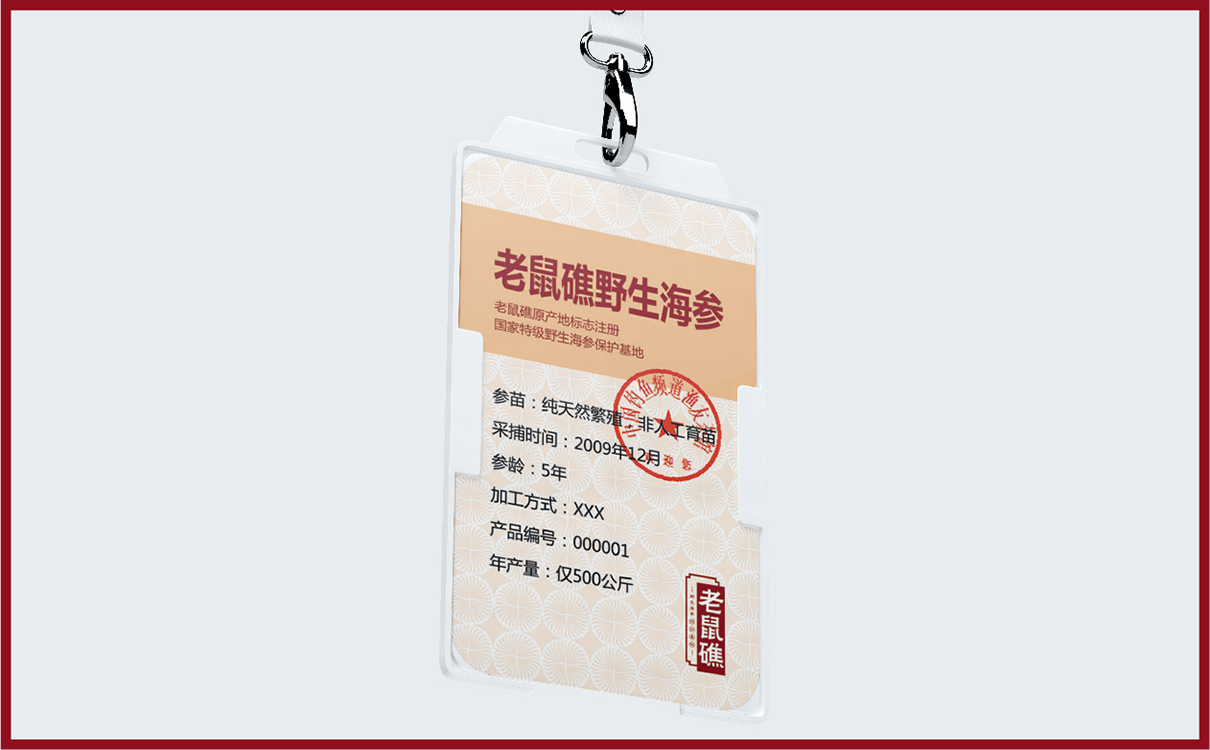 青島設計公司,青島品牌策劃,青島廣告公司