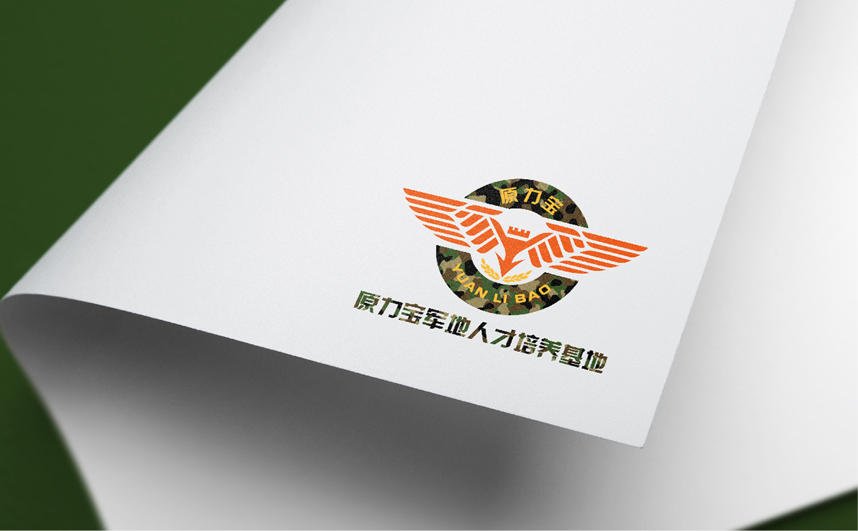 青島設計公司,青島廣告公司,青島LOGO設計,青島人才培養行業LOGO設計,青島人才培養行業品牌策劃設計,青島品牌全案策劃,青島高端LOGO設計公司